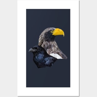 Pigargo and crow Posters and Art